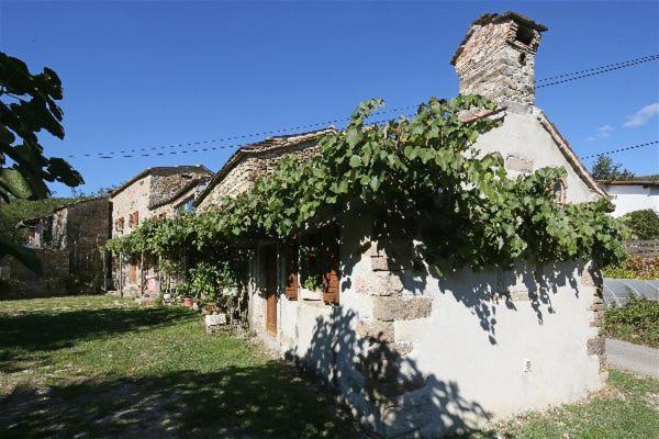 Istrian Experience Villa Socerga Ngoại thất bức ảnh